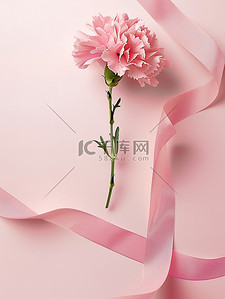 粉色淡背景图片_康乃馨丝带淡粉色素材