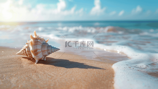 海边椰树图背景图片_夏日海景沙滩上的海水海螺素材