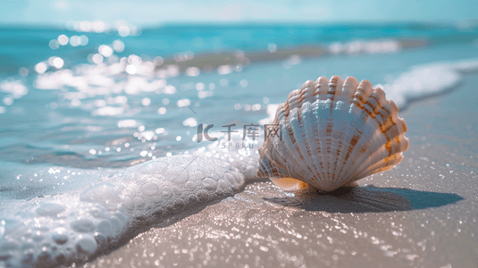 夏天海水背景图片_夏日海景沙滩上的海水海螺素材