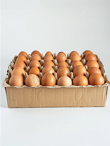 白色背景中装满新鲜鸡蛋的纸箱