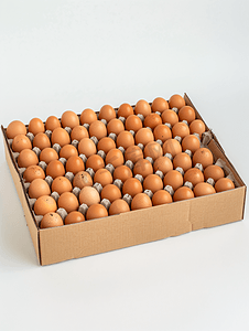 横幅中摄影照片_白色背景中装满新鲜鸡蛋的纸箱