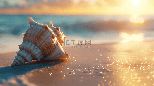 夏天沙滩海浪背景图片_夏日海景沙滩上的海水海螺背景