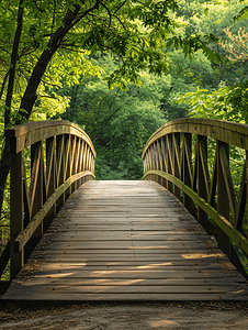 装饰景观摄影照片_前方清晰的道路可以看到通往森林的人行桥的对称景观