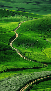 夏日绿色草原风景山谷风景壁纸图片