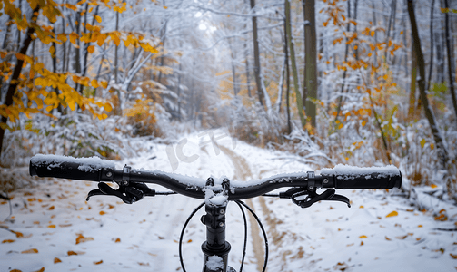 秋季第一场雪中的自行车道