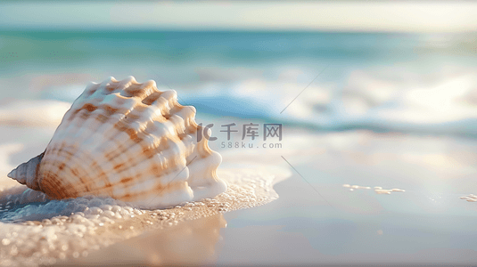 夏日海景沙滩上的贝壳海水波纹背景