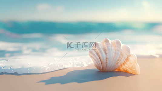 沙滩上背景图片_夏日海景沙滩上的贝壳海水波纹背景图片