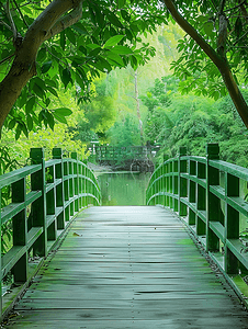 花园中的绿色木桥