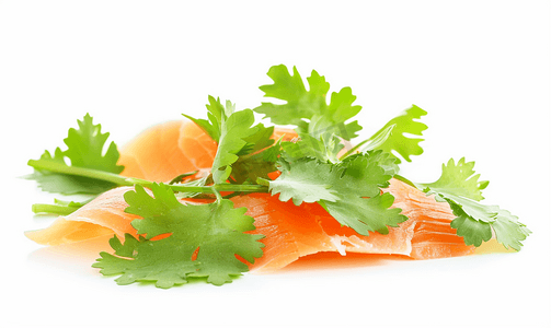一片新鲜的鲑鱼片用香菜叶切成薄片白色背景上孤立