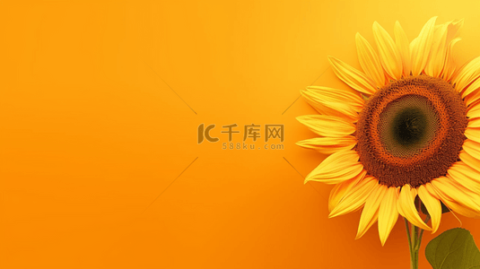 嗨皮一夏背景图片_简约清新夏日一朵向日葵背景