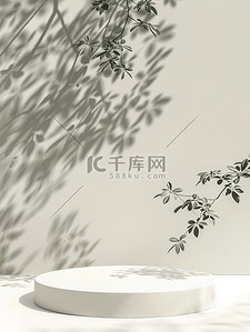 图片3d背景图片_树影3D白色产品展台图片