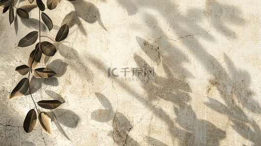 白素材背景图片_混凝土树叶阴影光影素材