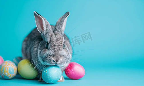 装饰海报背景摄影照片_复活节兔子与彩蛋