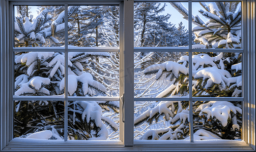 窗外后院被雪覆盖的松树景色