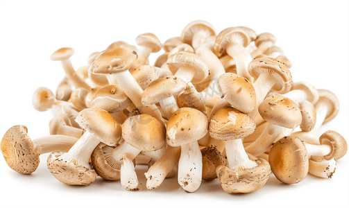 腌制菜摄影照片_腌制蘑菇被孤立在白色背景上腌制蜂蜜真菌