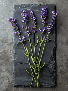 植物黑板摄影照片_原石黑板上的薰衣草花束