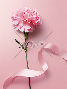 康乃馨丝带淡粉色背景图片
