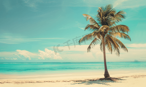 日落照片摄影照片_夏日蓝天衬托下海滩上的复古棕榈树色调照片