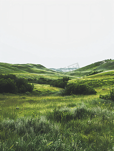 北达科他州的丘陵和草原景观