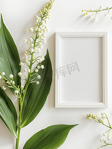 五月绿色摄影照片_用铃兰花花束制作的框架模型