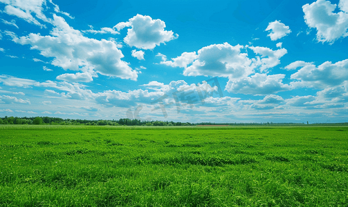 夏日田野摄影照片_阳光明媚的日子里美丽的夏日乡村风景蓝天