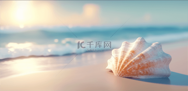 夏日海景沙滩上的贝壳海水波纹背景图