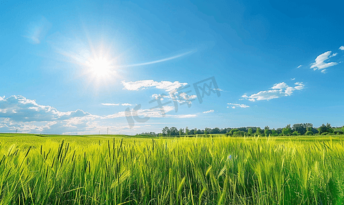 农场农场摄影照片_阳光明媚的日子里美丽的夏日乡村风景蓝天