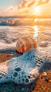 夏日海景海滩波浪上的海螺1背景图