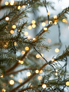 三月三节日摄影照片_天然圣诞树树枝上的灯串