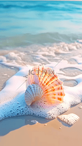 夏日海景海滩波浪上的海螺设计