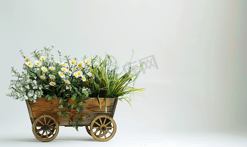 给一辆装有植物和鲜花的木车拍照