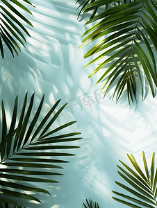 灰色柱子摄影照片_蓝灰色纸张背景上的热带棕榈叶