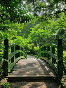 花园中的绿色木桥