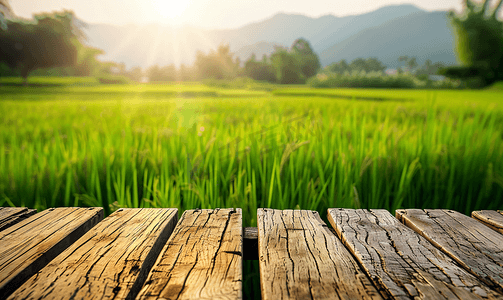 绿色稻田背景摄影照片_木桌有绿色稻田背景