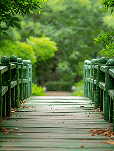 绿色生态环保摄影照片_花园中的绿色木桥