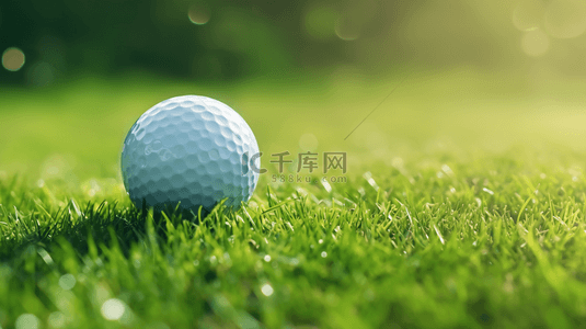 夏日运动草坪上的高尔夫球背景图片