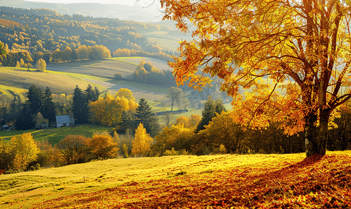 欧洲金色秋景的美丽全景