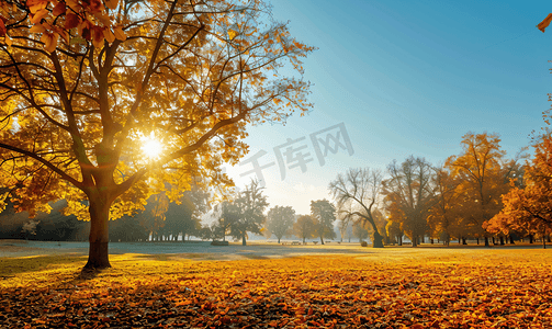 欧洲金色秋景的美丽全景