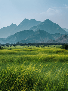 高山摄影照片_拉贾斯坦邦由草组成的巨大山脉