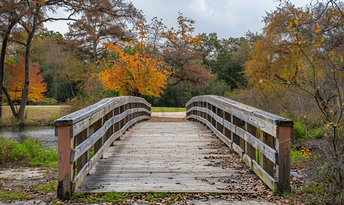 秋景摄影照片_休斯顿公园公路桥的秋景