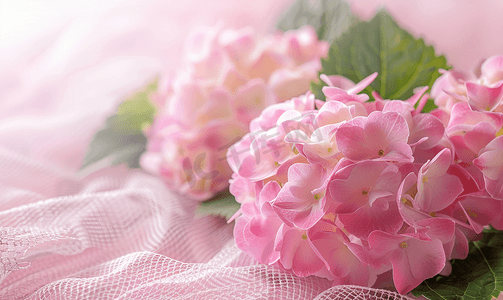 蓝色花束摄影照片_美丽绽放的粉红色绣球花在绳网背景上带有复制空间