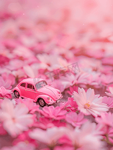 地上的粉红色花和汽车
