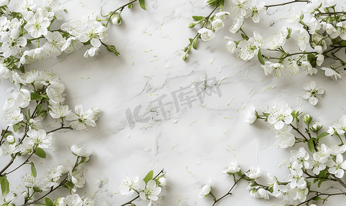 综艺边框摄影照片_大理石桌面视图和平躺风格的白花花框