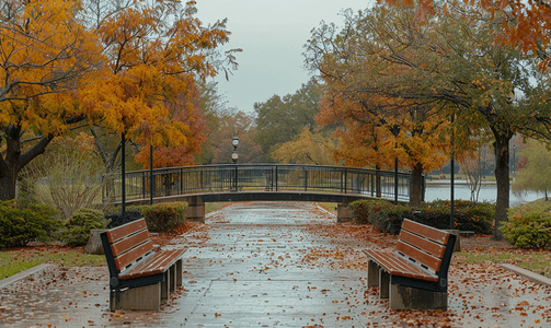 秋景摄影照片_休斯顿公园公路桥的秋景