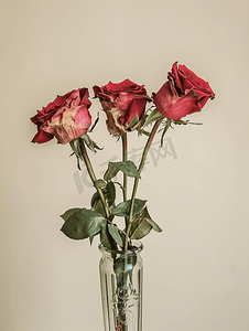 花瓶里枯萎的红玫瑰花束的侧视图