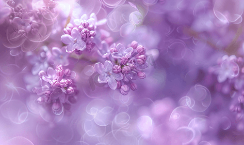 淡色底纹摄影照片_淡紫色吊带的淡紫色抽象圆形图案