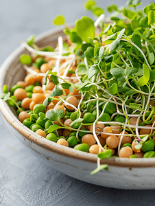 豌豆微绿芽和发芽豆素食健康食品沙拉的特写