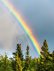 色建筑摄影照片_阳光普照的森林上空灰蓝色的天空中出现双彩虹