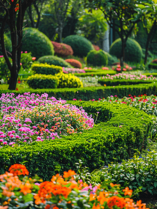 草坪和树木摄影照片_景观公园内有鲜花和灌木的装饰花坛