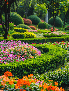 景观公园内有鲜花和灌木的装饰花坛